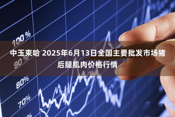 中玉束哈 2025年6月13日全国主要批发市场猪后腿肌肉价格行情