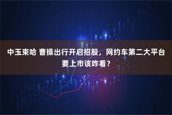 中玉束哈 曹操出行开启招股，网约车第二大平台要上市该咋看？