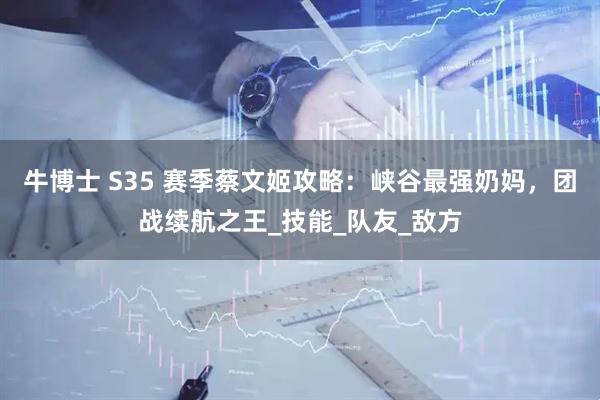 牛博士 S35 赛季蔡文姬攻略：峡谷最强奶妈，团战续航之王_技能_队友_敌方