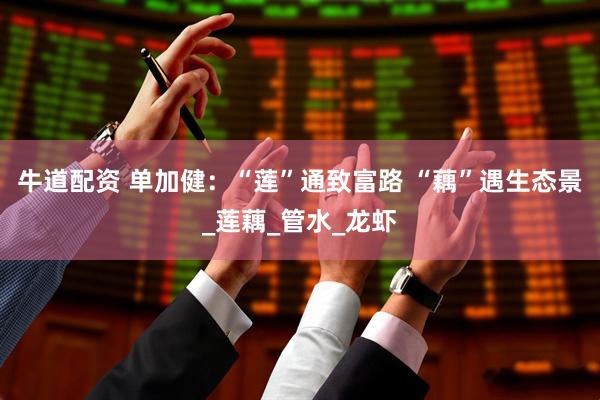 牛道配资 单加健：“莲”通致富路 “藕”遇生态景_莲藕_管水_龙虾