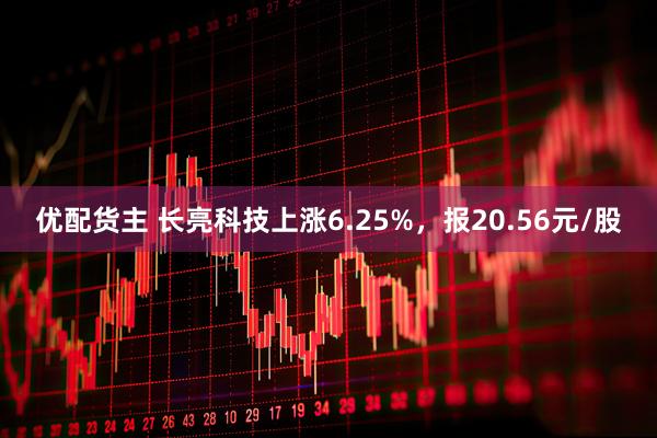 优配货主 长亮科技上涨6.25%，报20.56元/股