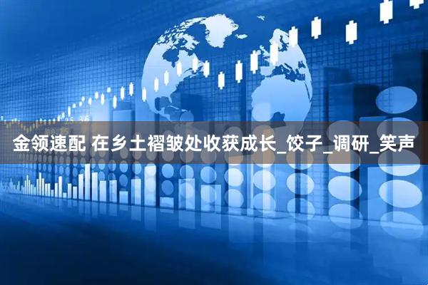 金领速配 在乡土褶皱处收获成长_饺子_调研_笑声